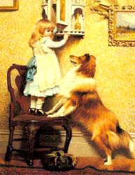 A Little Girl And Her Sheltie