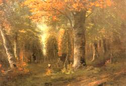 Forest In Autumn