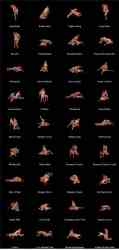 The 32 Positions Of Sex