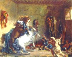 Arab Horses Fighting In A Stable