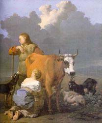 Woman Milking A Red Cow