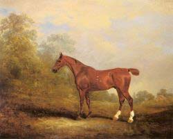 Cecil A Favorite Hunter Of The Earl Of Jersey In A Landscap