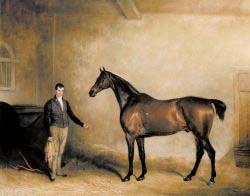 Mr. Hogg’s Claxton And A Groom In A Stable