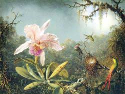 Cattleya Orchid And Three Brazilian Hummingbirds