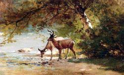Deer In A Landscape