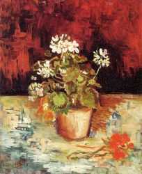 Still Life - Geranium In A Flowerpot