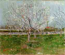 Orchard In Blossom 3