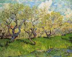 Orchard In Blossom 4