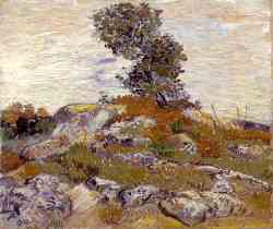 Rocks With Oak Tree