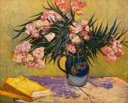 Still Life With Oleander