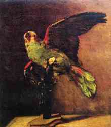 The Green Parrot