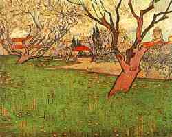 View Of Arles With Trees In Blossom