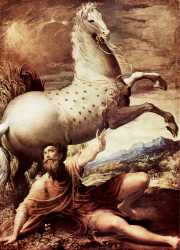 The Conversion Of St Paul