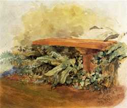 Garden Bench With Ferns