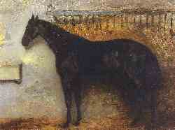 Black Horse In A Stable
