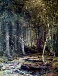 The Forest Horizons (1860)