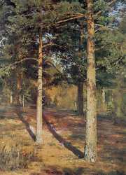 The Sun Lit Pines (1886)