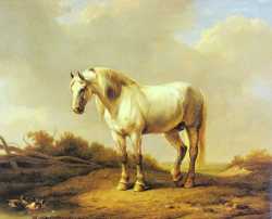 A White Stallion In A Landscape