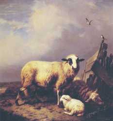 Guarding The Lamb