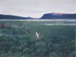 12 Villender - 1897 (The 12 Wild Ducks)