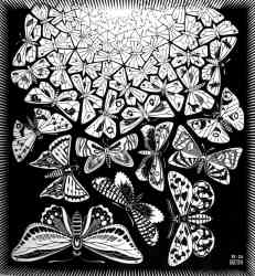 Butterflies III (1950)